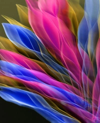 Web and eCommerce Development Solutions